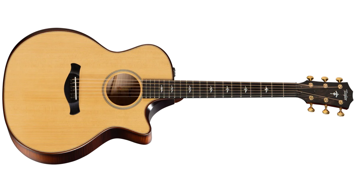 美品 Taylor 614ce ES2 V-Class テイラーギター おまけ Builders Edition 614ce-Front.